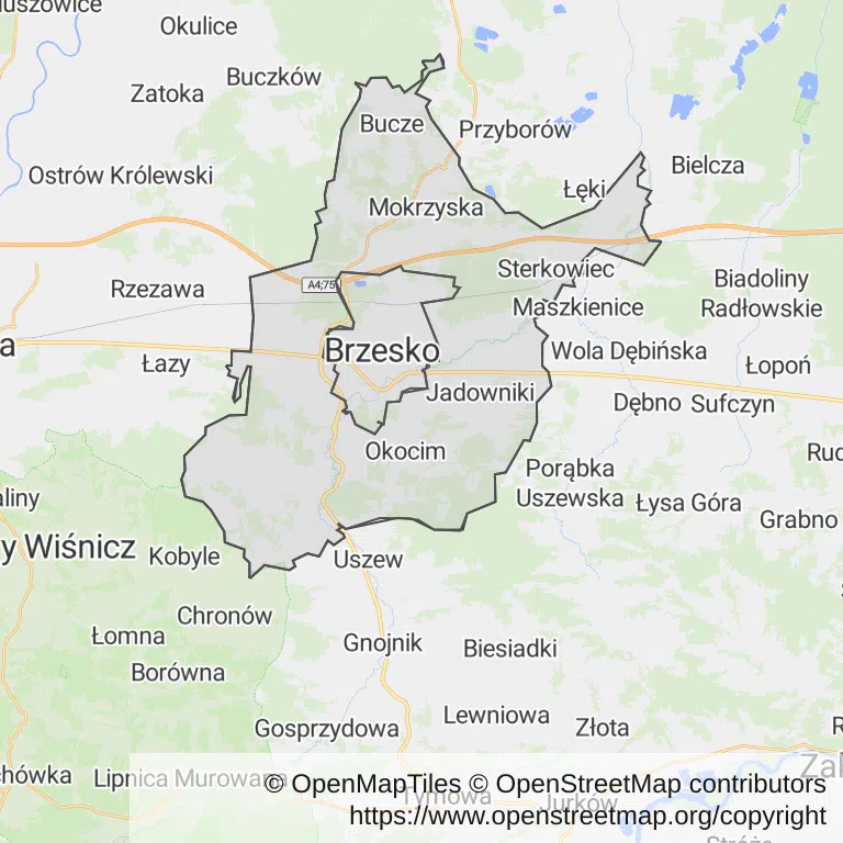 Mapa z zaznaczonym Brzeskiem