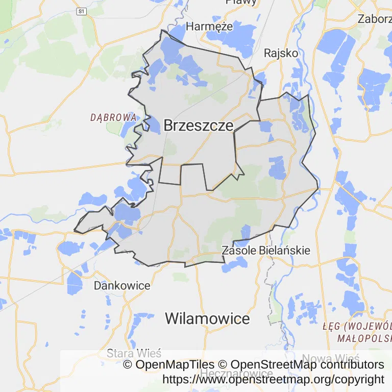 Mapa z zaznaczonym Brzeszczami