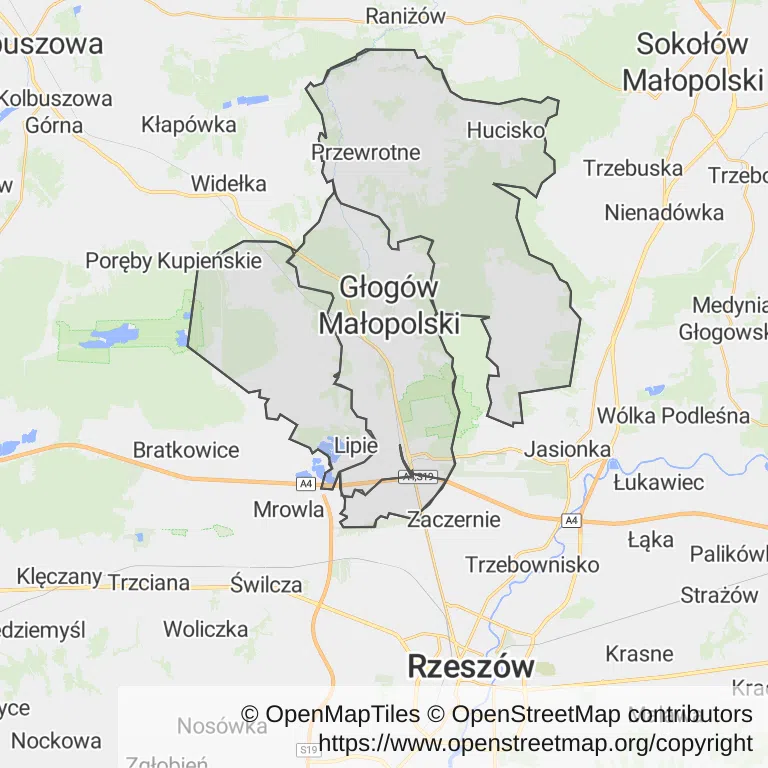 Mapa z zaznaczonym Głogowie Małopolskim