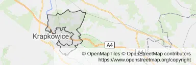Mapa z zaznaczonym Gogolinem