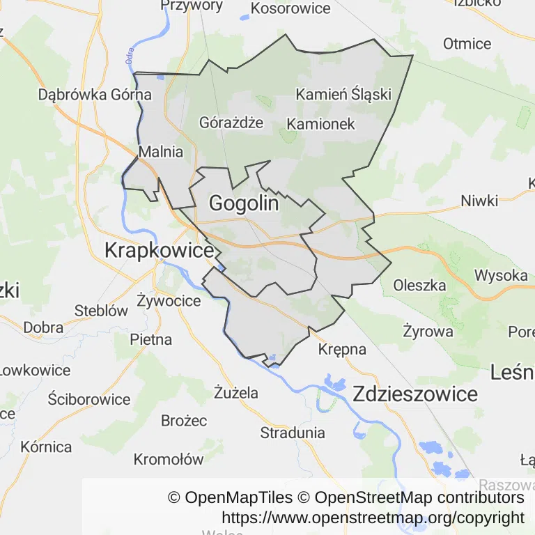 Mapa z zaznaczonym Gogolinem