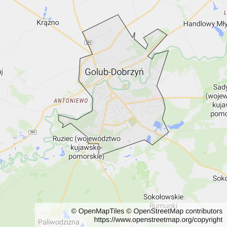 Mapa z zaznaczonym Golubiu-Dobrzyniu