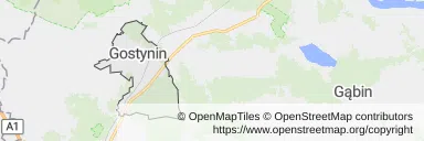 Mapa z zaznaczonym Gostyninem