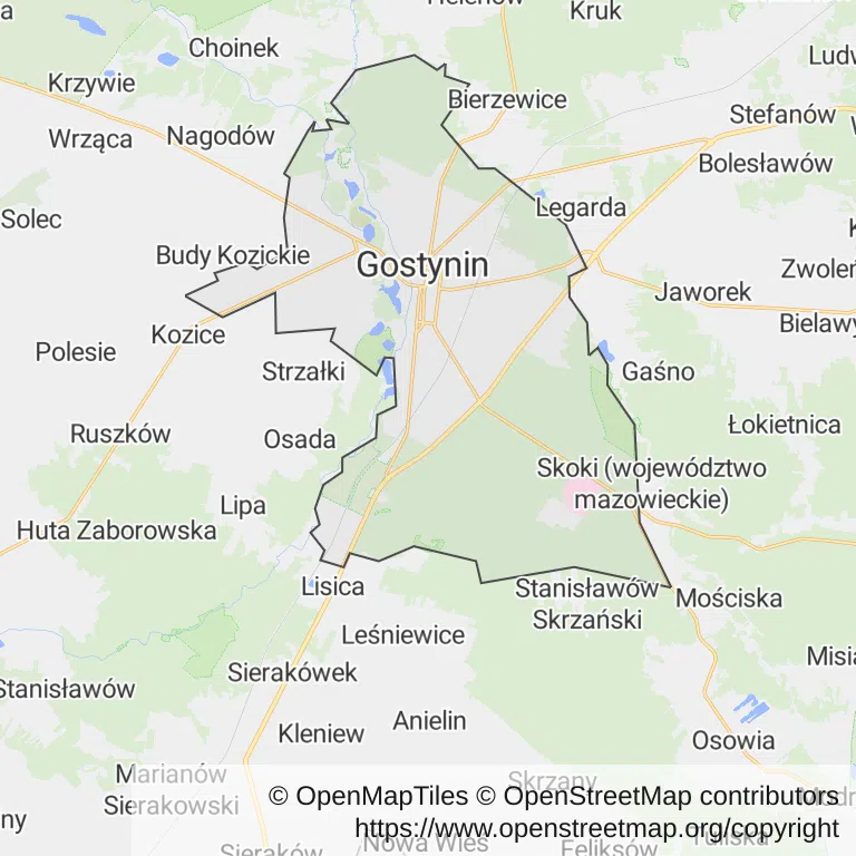 Mapa z zaznaczonym Gostyninem