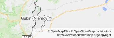 Mapa z zaznaczonym Gubinem