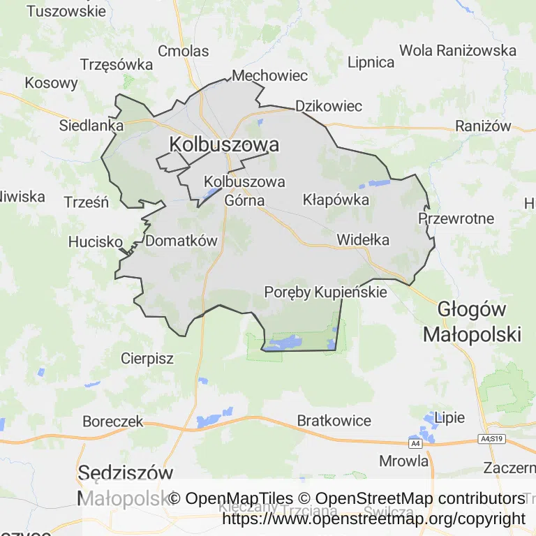 Mapa z zaznaczoną Kolbuszowem
