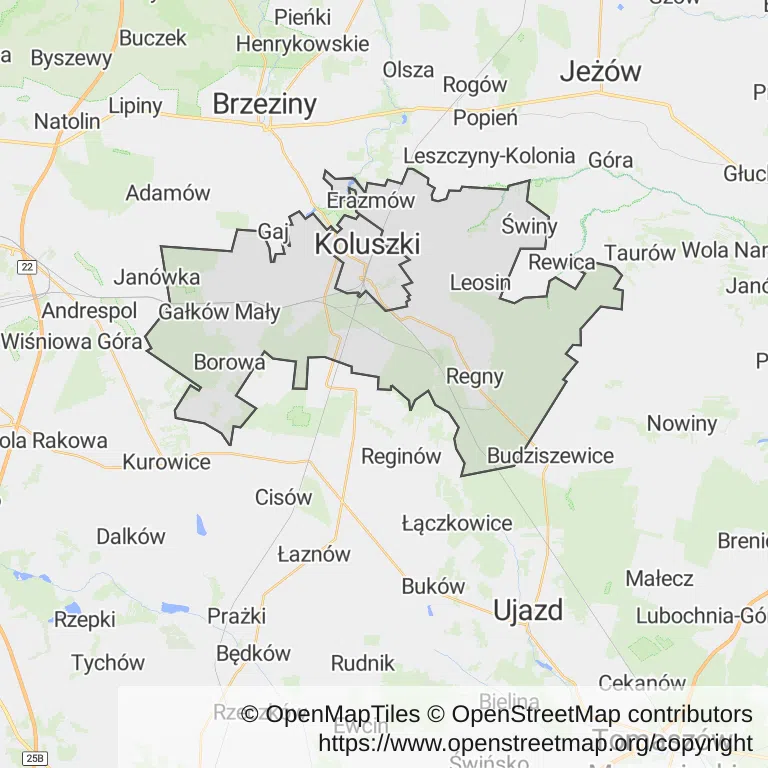 Mapa z zaznaczonym Koluszkami