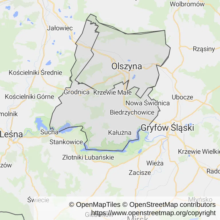 Mapa z zaznaczoną Olszynem