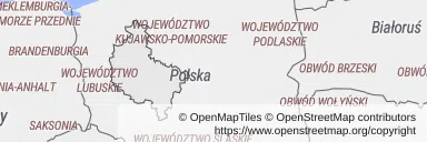 Kolonoskopia na NFZ — Mapa z zaznaczonym województwem wielkopolskim