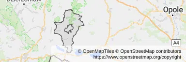Mapa z zaznaczonymi Ziębicami