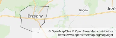 Mapa z zaznaczonym Brzezinami