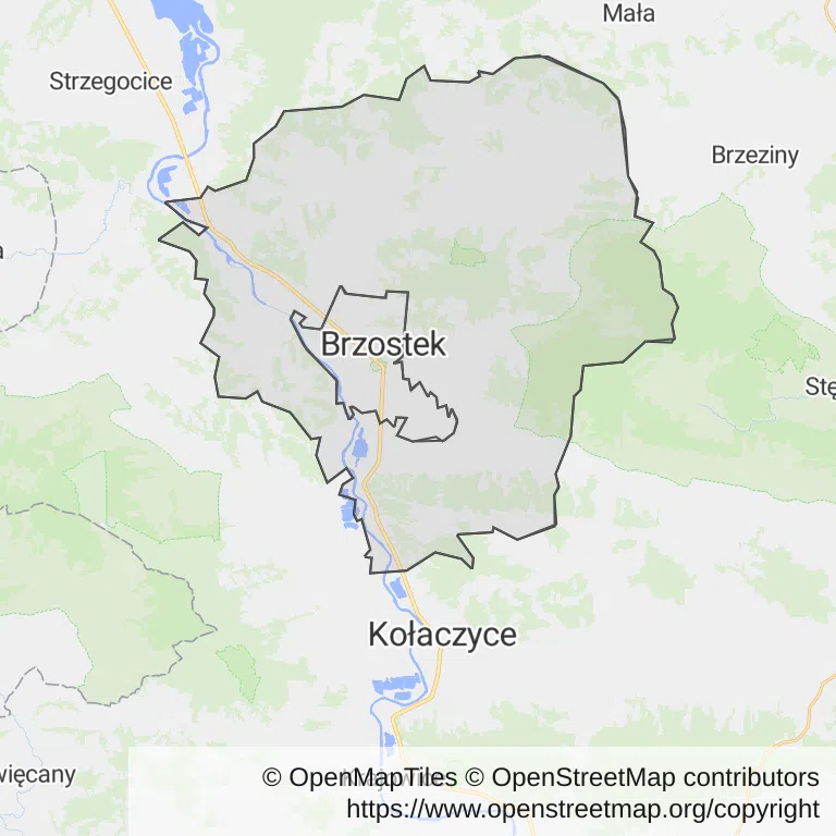 Mapa z zaznaczonym Brzostkiem