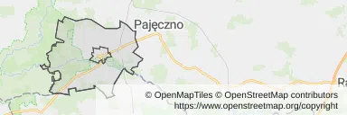 Mapa z zaznaczonym Działoszynem