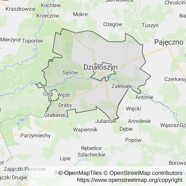 Mapa z zaznaczonym Działoszynem