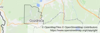 Mapa z zaznaczonym Gozdnicy
