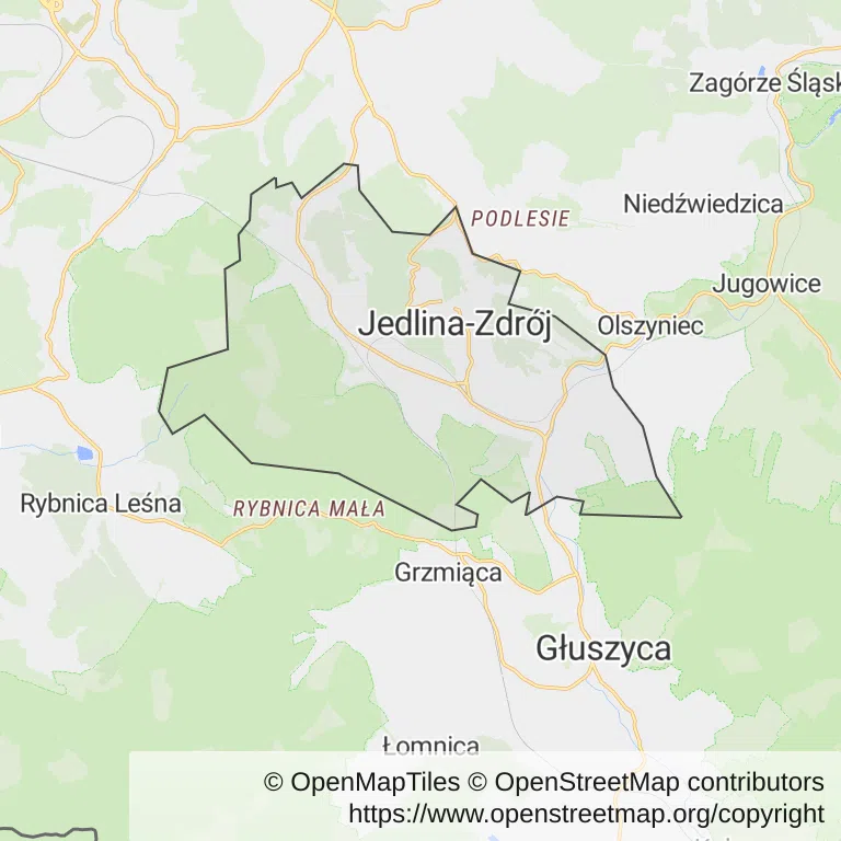 Mapa z zaznaczonym Jedlinie-Zdroju