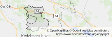 Mapa z zaznaczonym Leśnicy