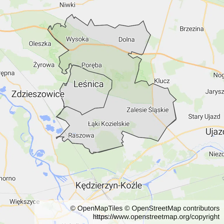Mapa z zaznaczonym Leśnicy