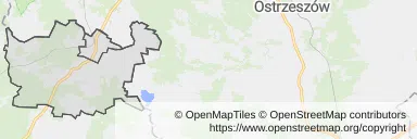 Mapa z zaznaczonym Międzyborzem