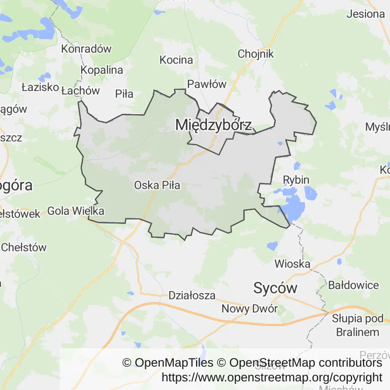 Mapa z zaznaczonym Międzyborzem
