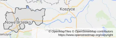 Mapa z zaznaczonym Nowym Brzeskiem