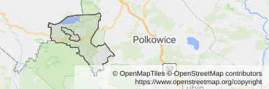 Mapa z zaznaczonym Przemkowem