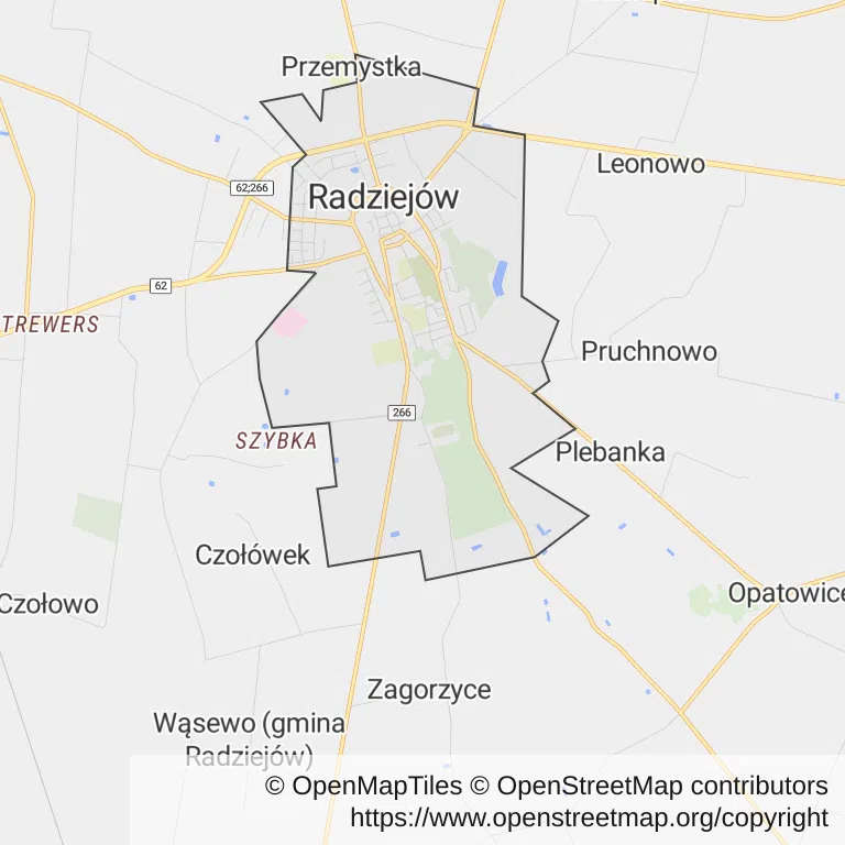 Mapa z zaznaczonym Radziejowem