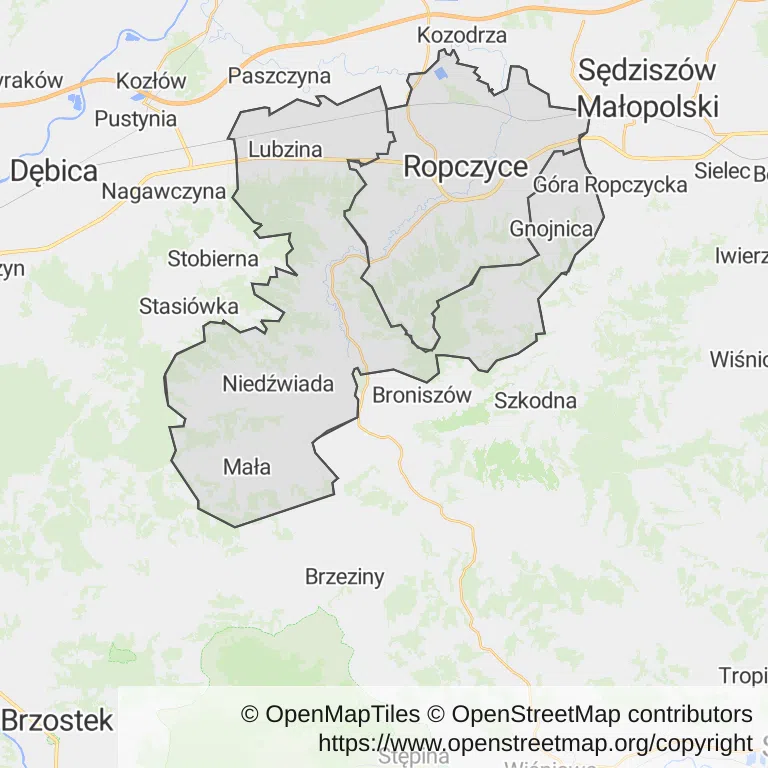 Mapa z zaznaczonymi Ropczycami