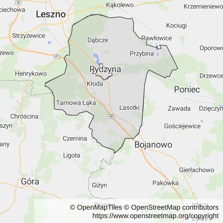 Mapa z zaznaczoną Rydzynem