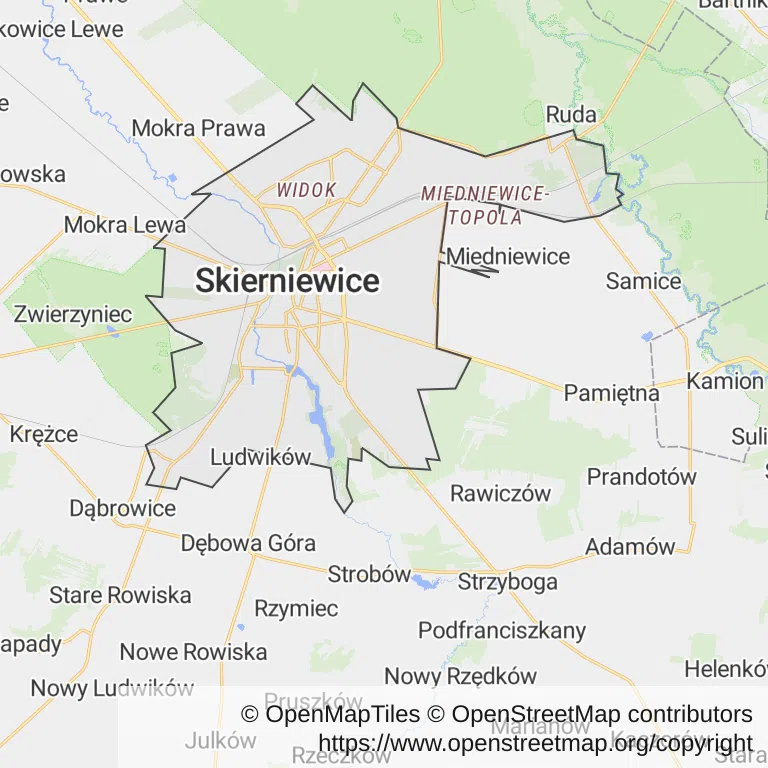 Mapa z zaznaczonymi Skierniewicami