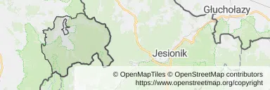 Mapa z zaznaczonym Stroniu Śląskim
