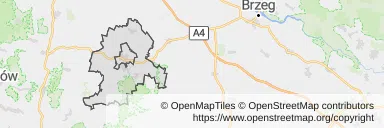 Mapa z zaznaczonym Strzelinem