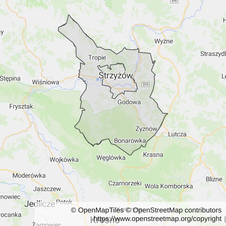 Mapa z zaznaczonym Strzyżowem
