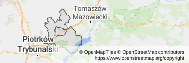 Mapa z zaznaczonym Wolborzem