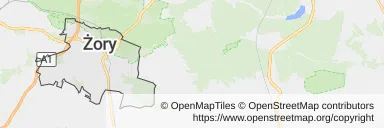 Mapa z zaznaczonym Żorami